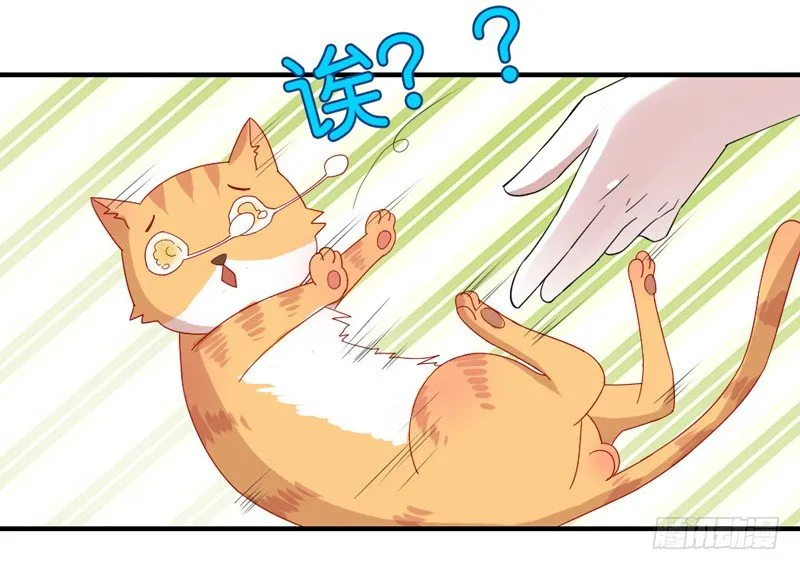 陛下，您还记得微臣吗？ 第31页