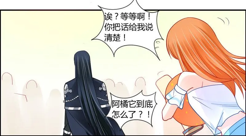 十个橘猫九个胖 第16页