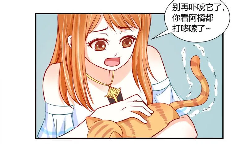 十个橘猫九个胖 第28页