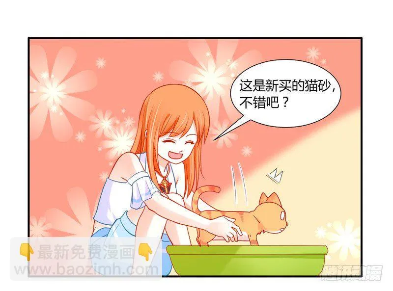 十个橘猫九个胖 第33页