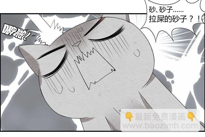 十个橘猫九个胖 第35页