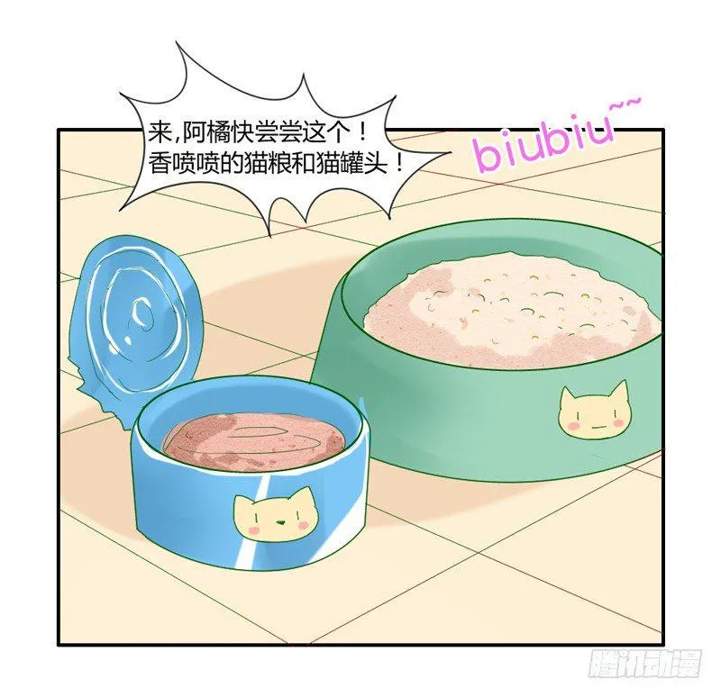 十个橘猫九个胖 第40页