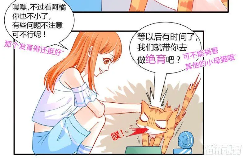 十个橘猫九个胖 第43页