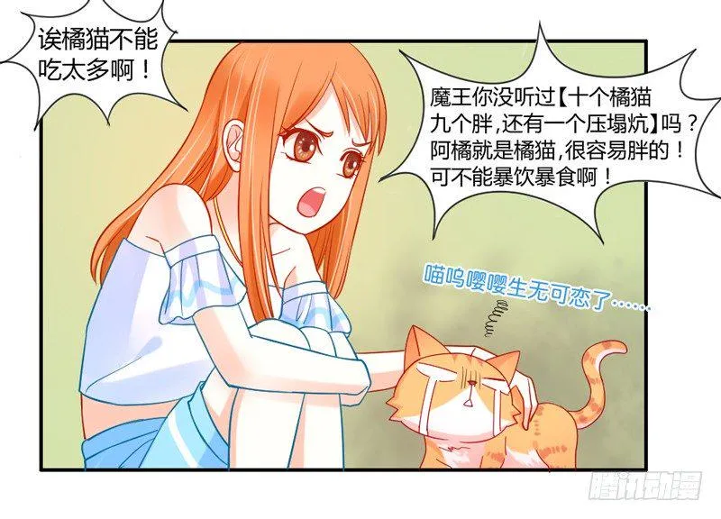 十个橘猫九个胖 第46页