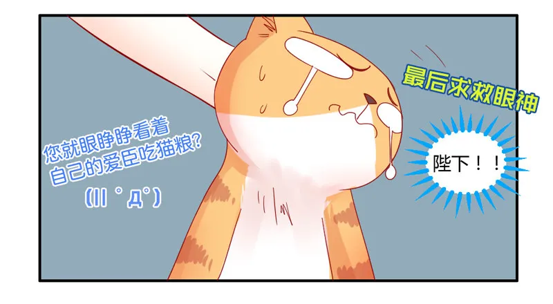 默默守护你 第5页