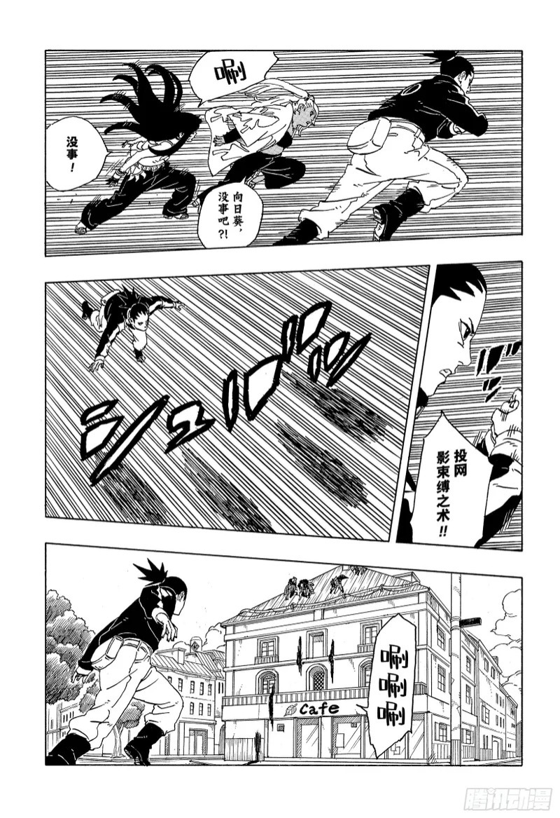 TBW29 驱除害虫 第39页