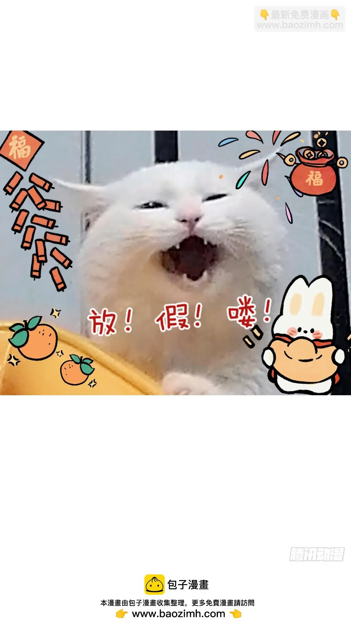 46 第20页