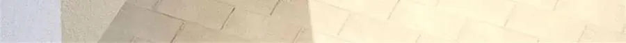 第162话 影响变异 第40页