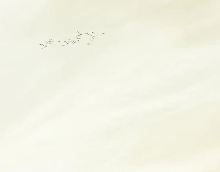 第144话 大夫人（下） 第124页