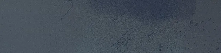 第51话 二小的希望 第40页