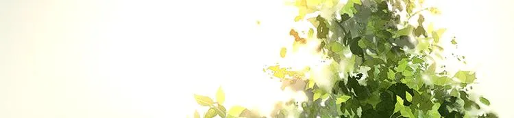 第73话 许愿 第30页
