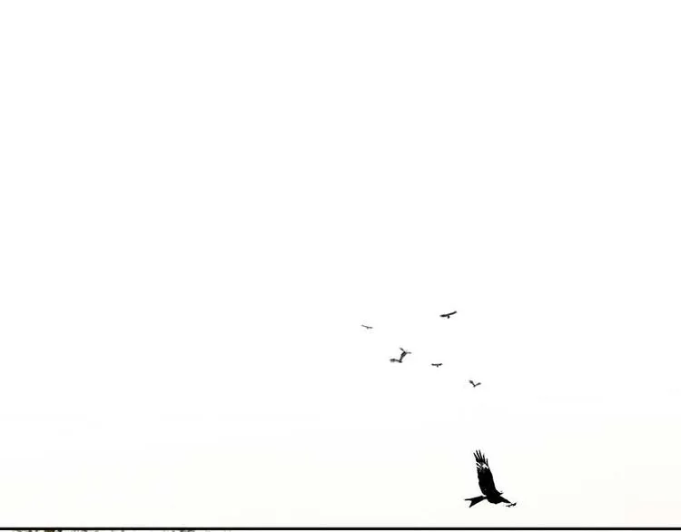 第85话 花将军的疮 第85页