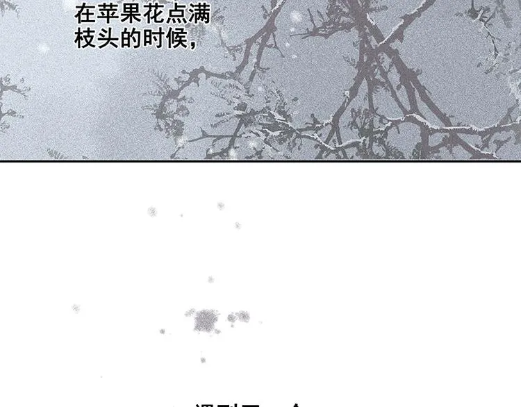 圣诞特辑 关于爱情 第133页