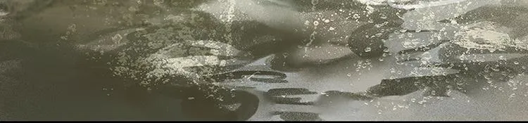第118话 岳家还有一个 第124页