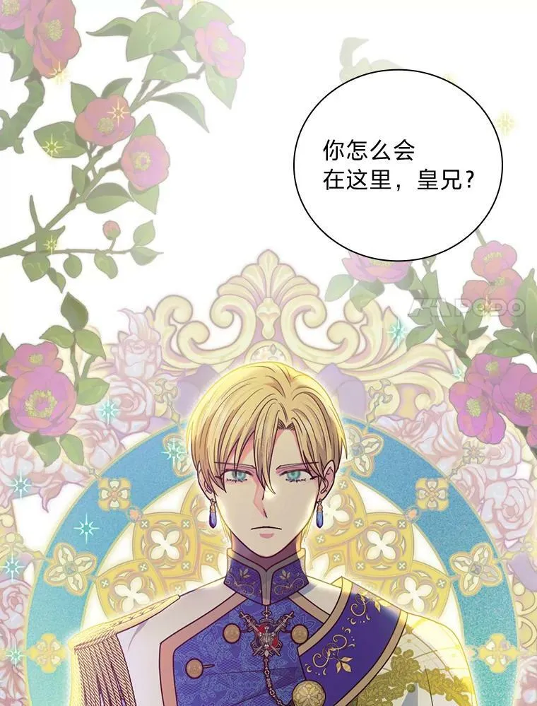 54.谒见陛下 第91页
