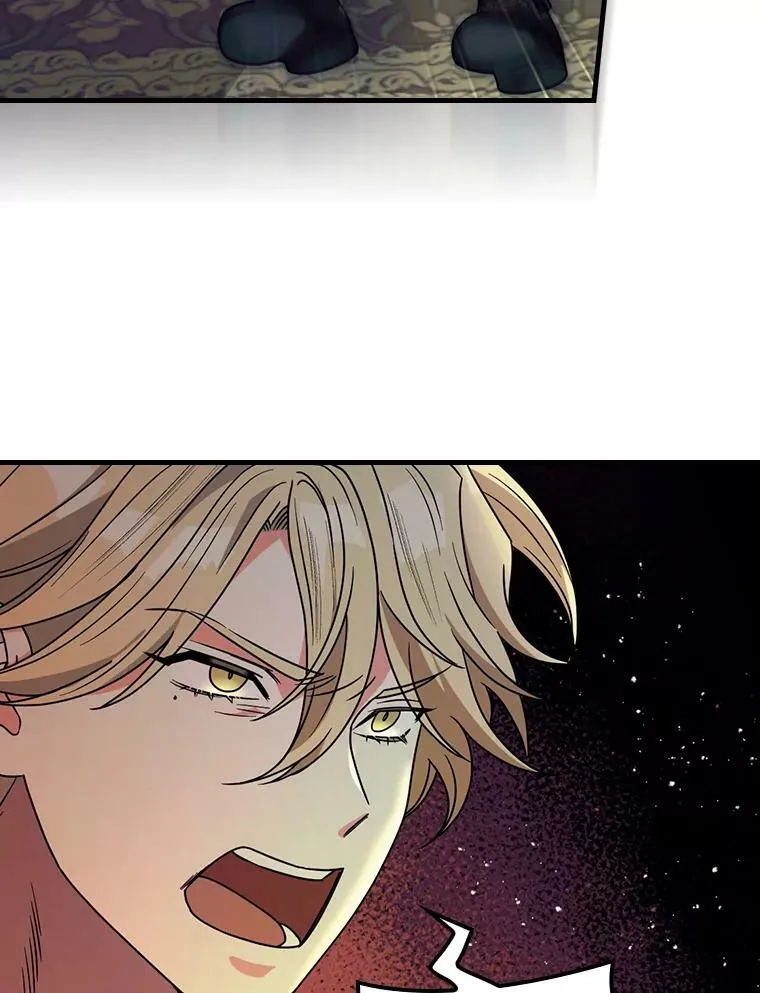 54.谒见陛下 第100页