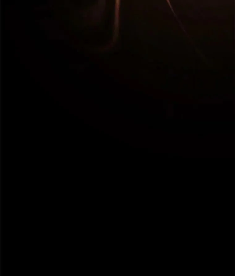 54.谒见陛下 第136页