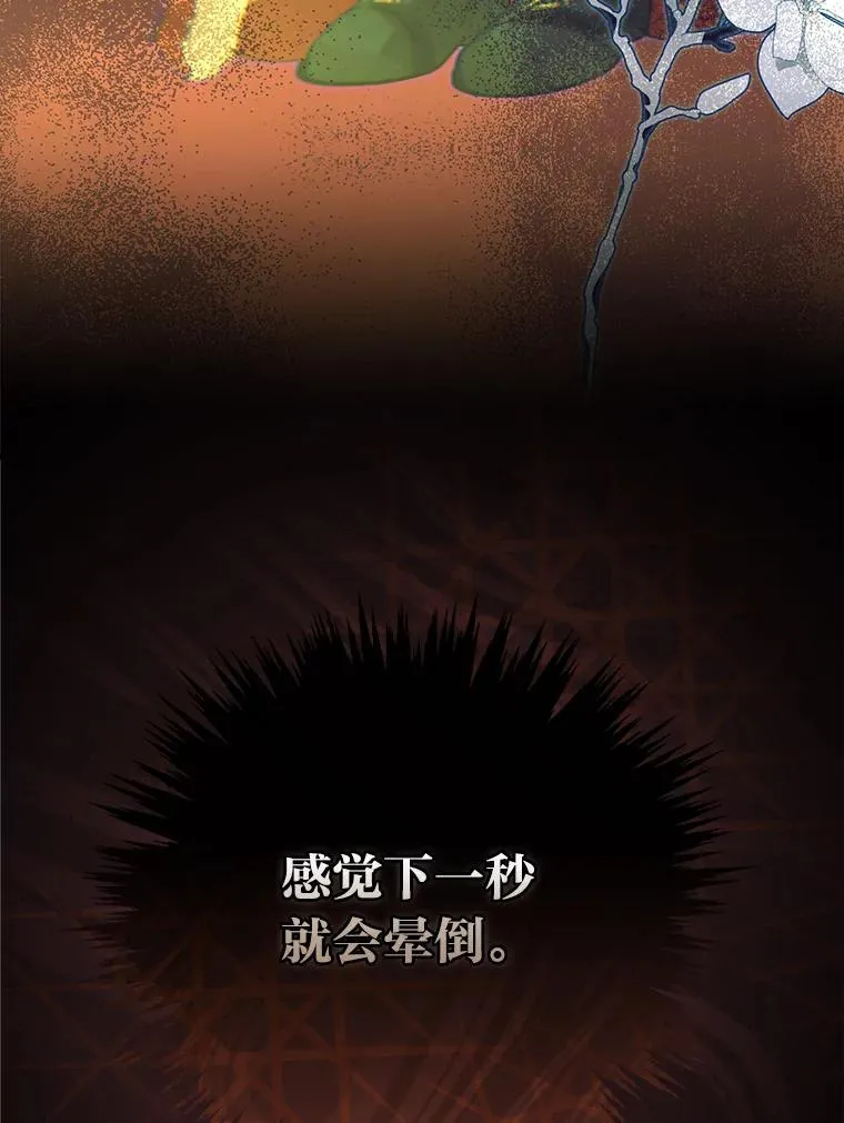 66.登基典礼 第27页