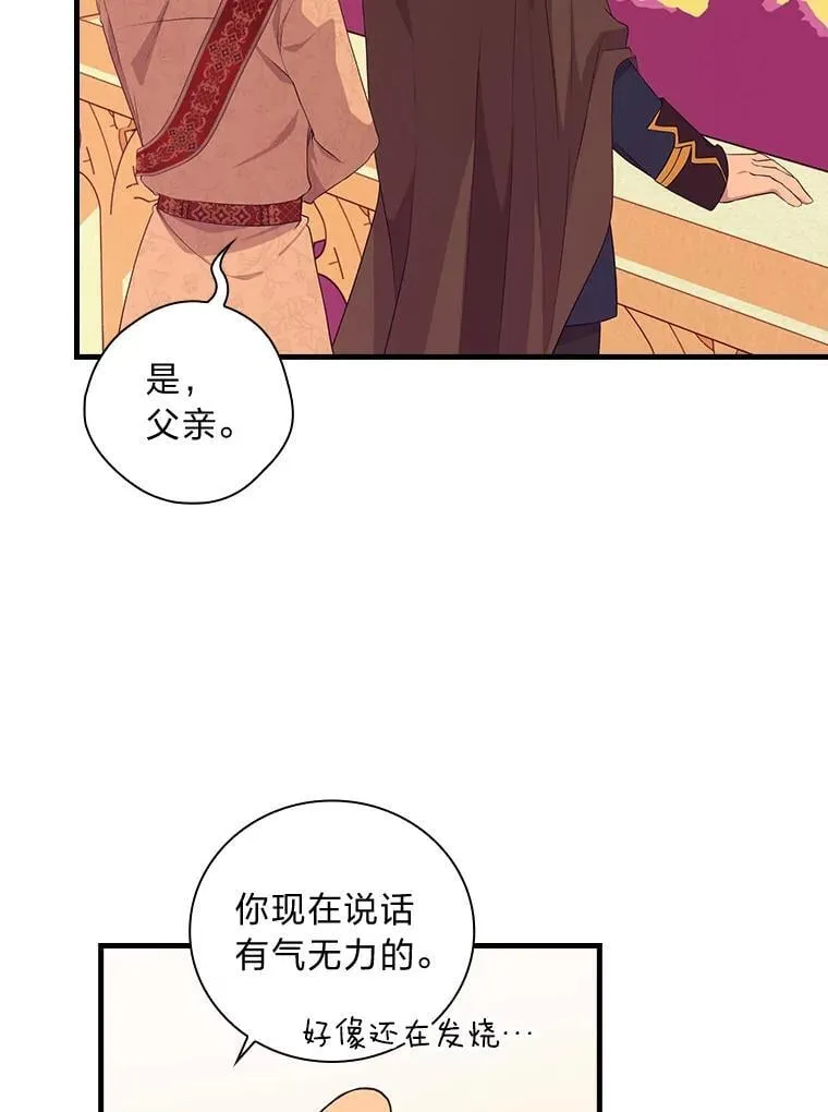 66.登基典礼 第69页