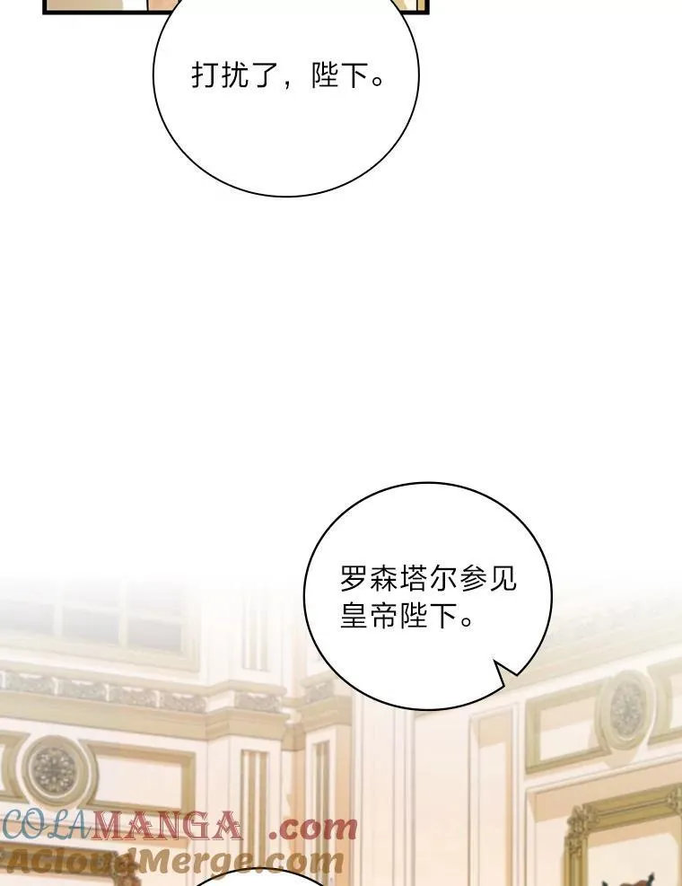 74.消失的卢卡 第17页