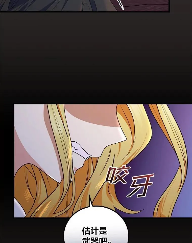 78.破坏武器 第60页