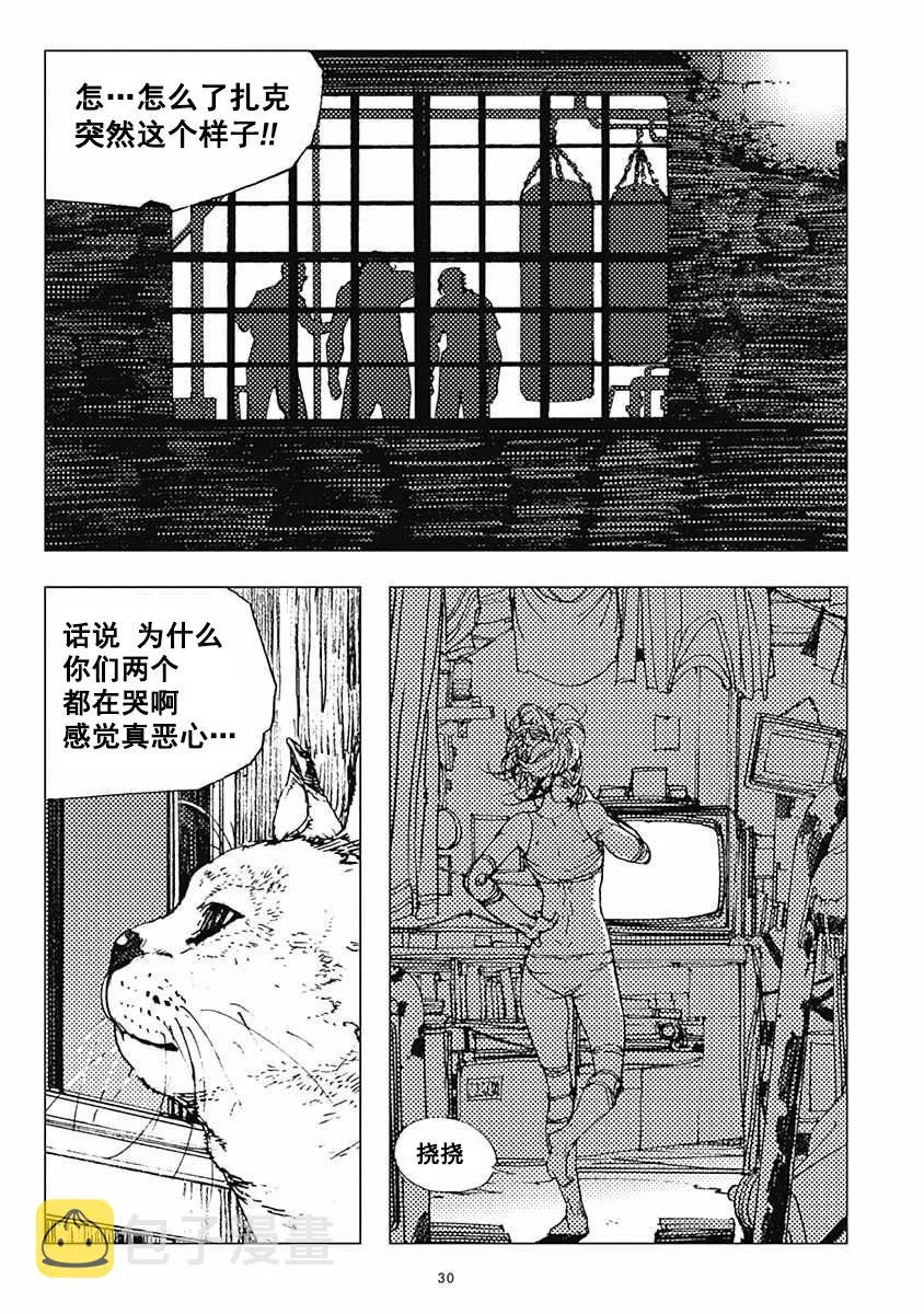 30话 第31页