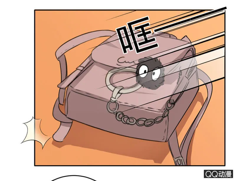 可别是新BOSS吧 第17页