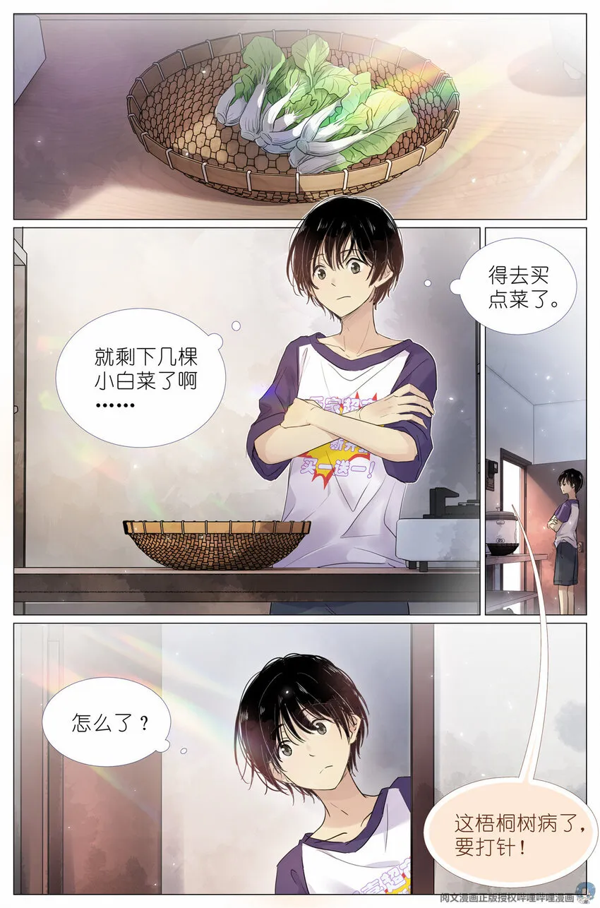 004 梧桐树 第2页