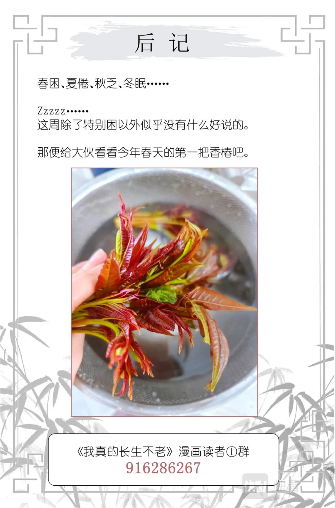 058 重生带个系统 第21页