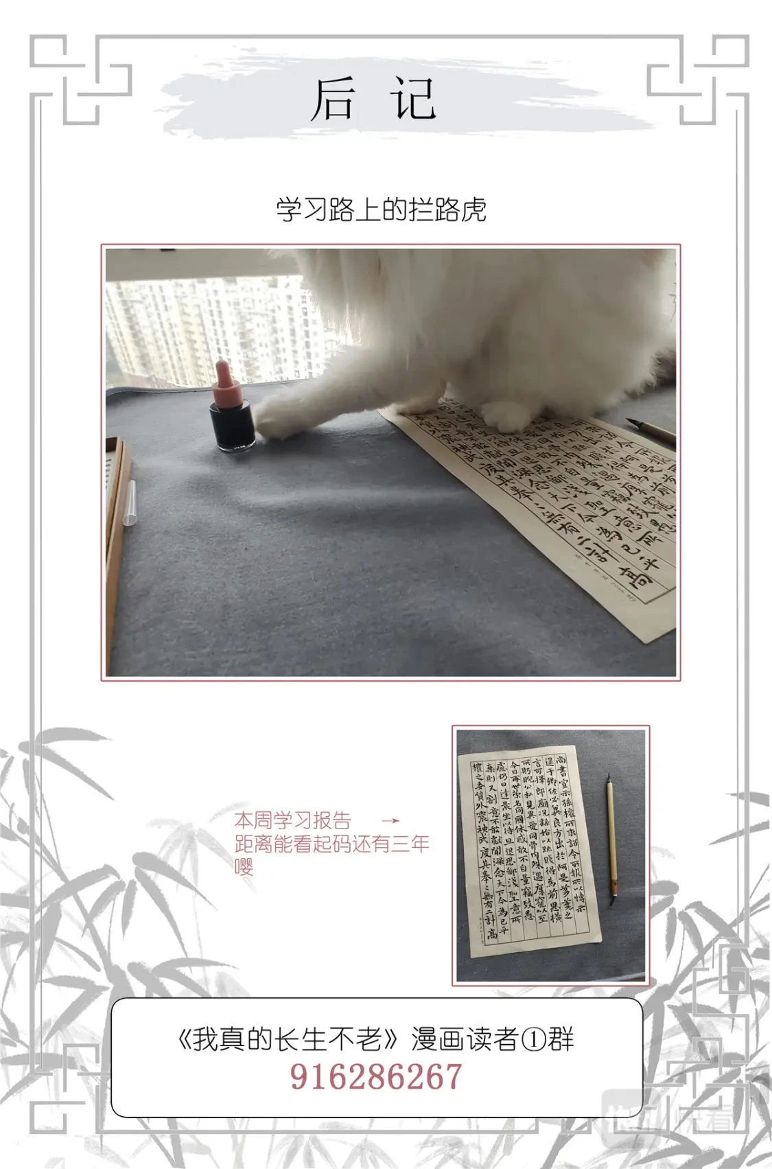 053 母慈女爱 第19页