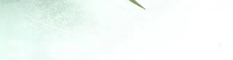 第4话 偷情 第16页
