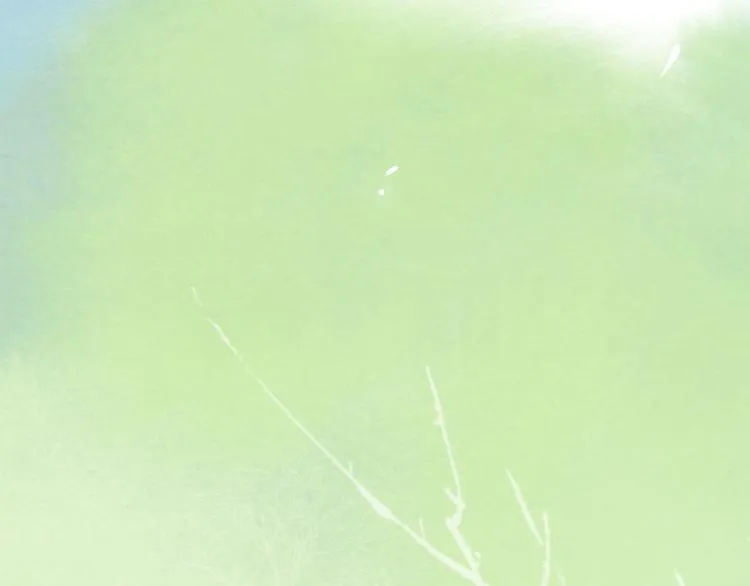 第4话 偷情 第106页