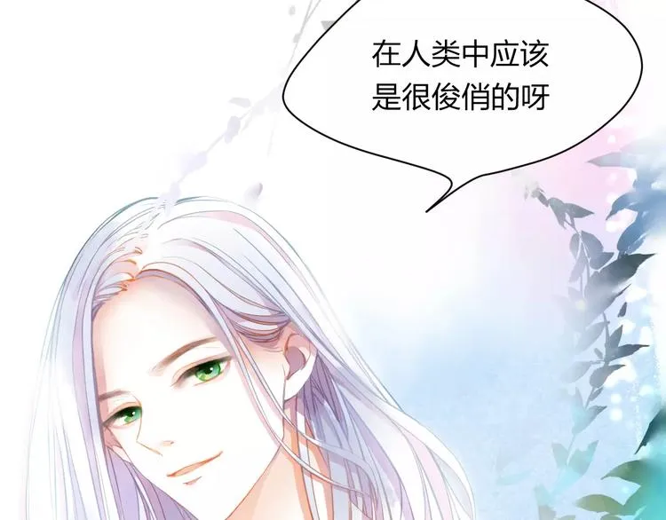 第1话 千年枯枝变美男？！ 第114页