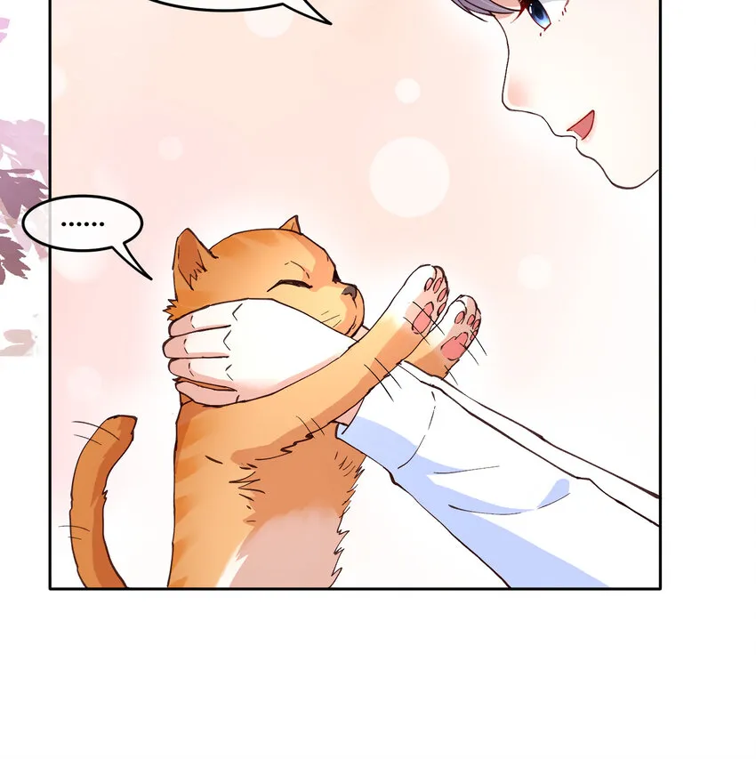 12 你看，有小猫在舔脚 第34页