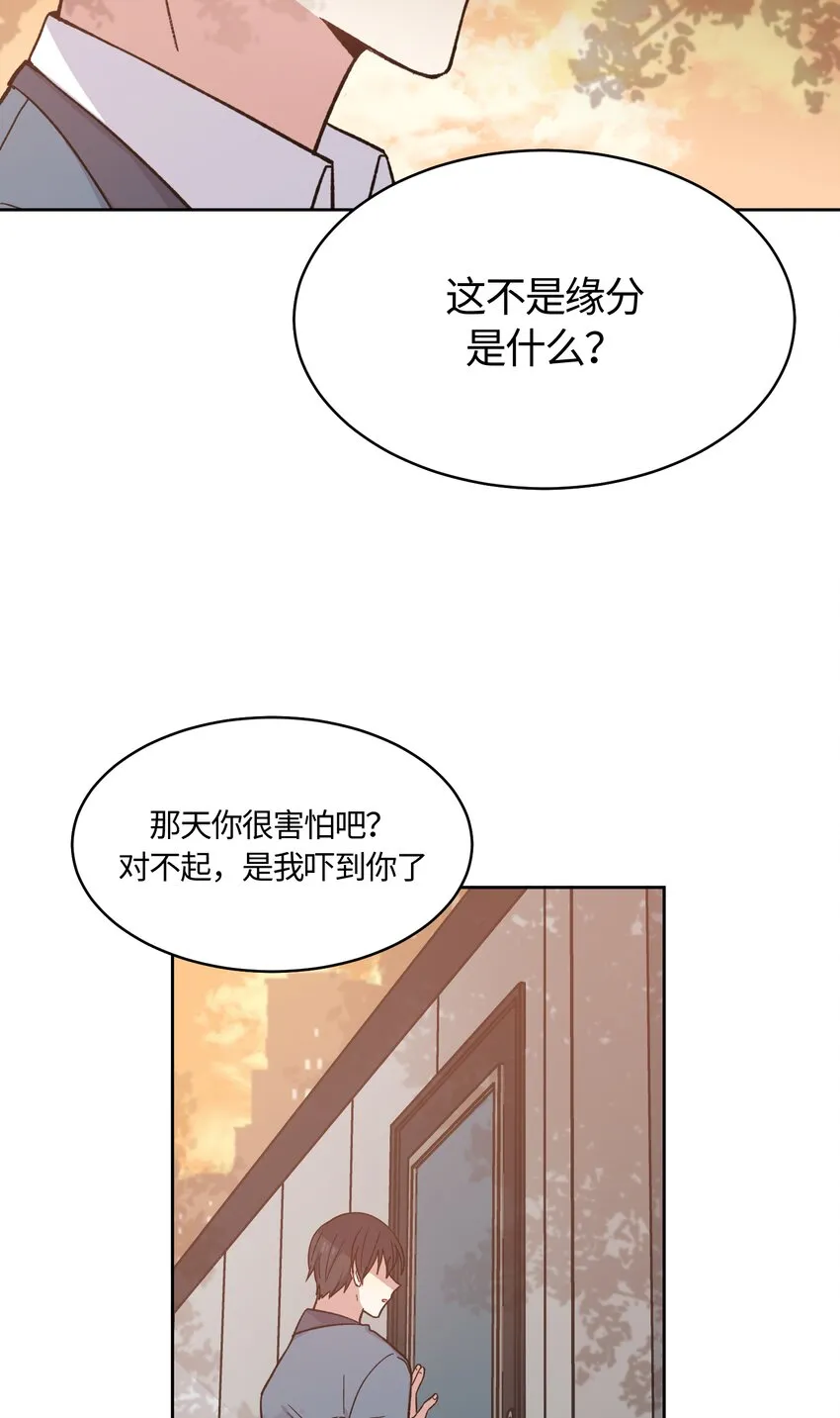 29 第8页