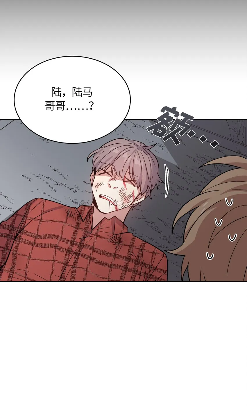 43 第10页