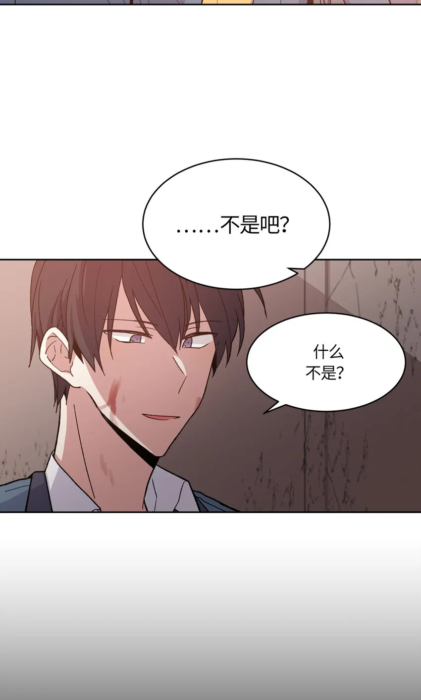 43 第14页