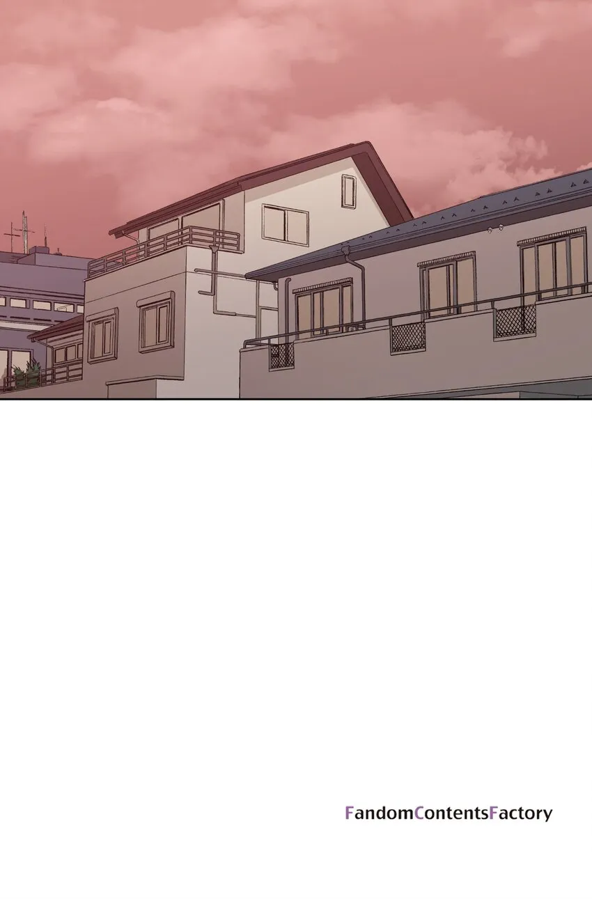 43 第25页