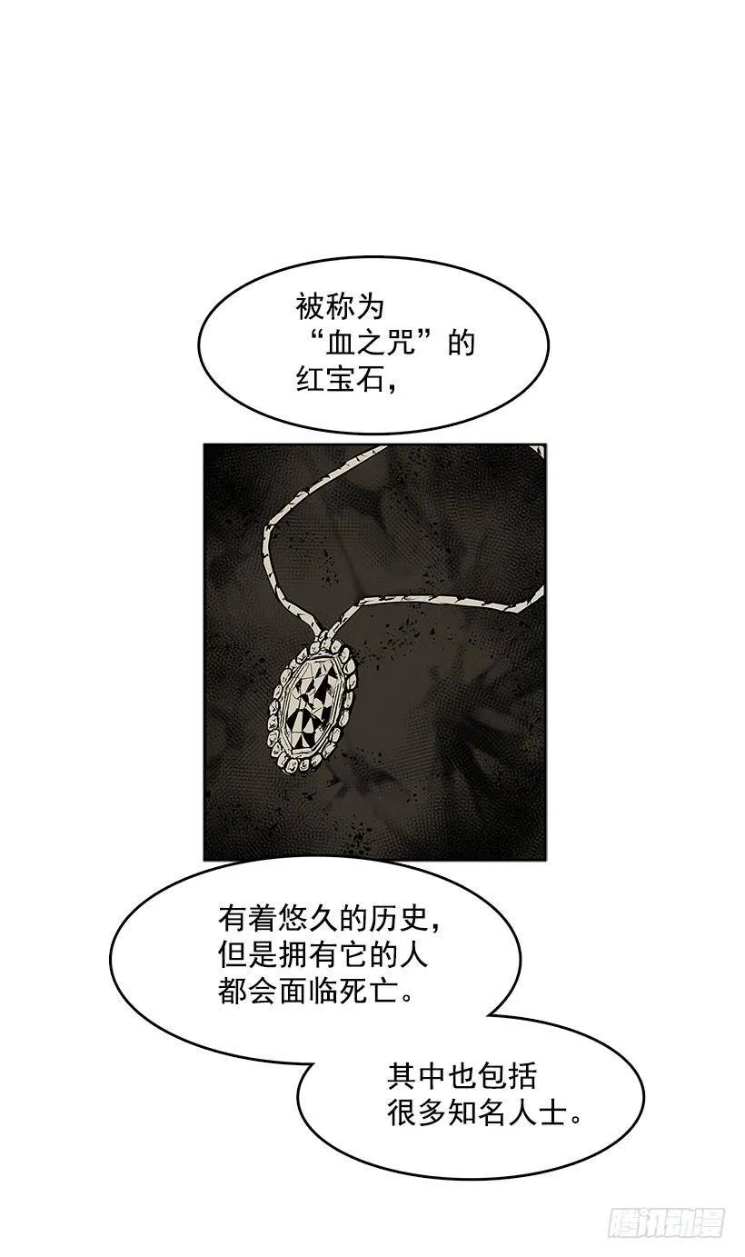 违禁拍卖品 第12页