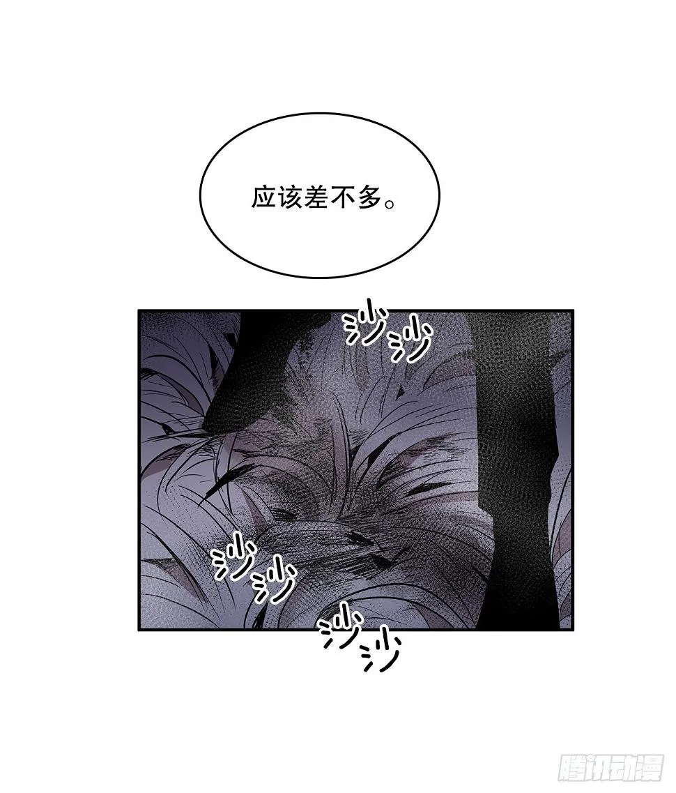 381.诱饵 第5页