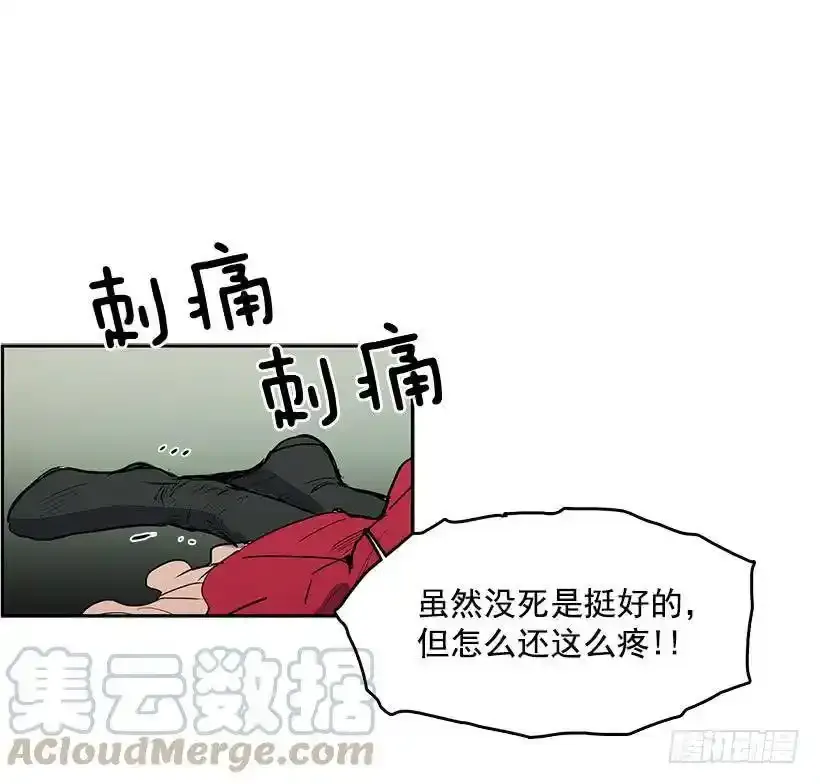 再遇白斗篷 第17页