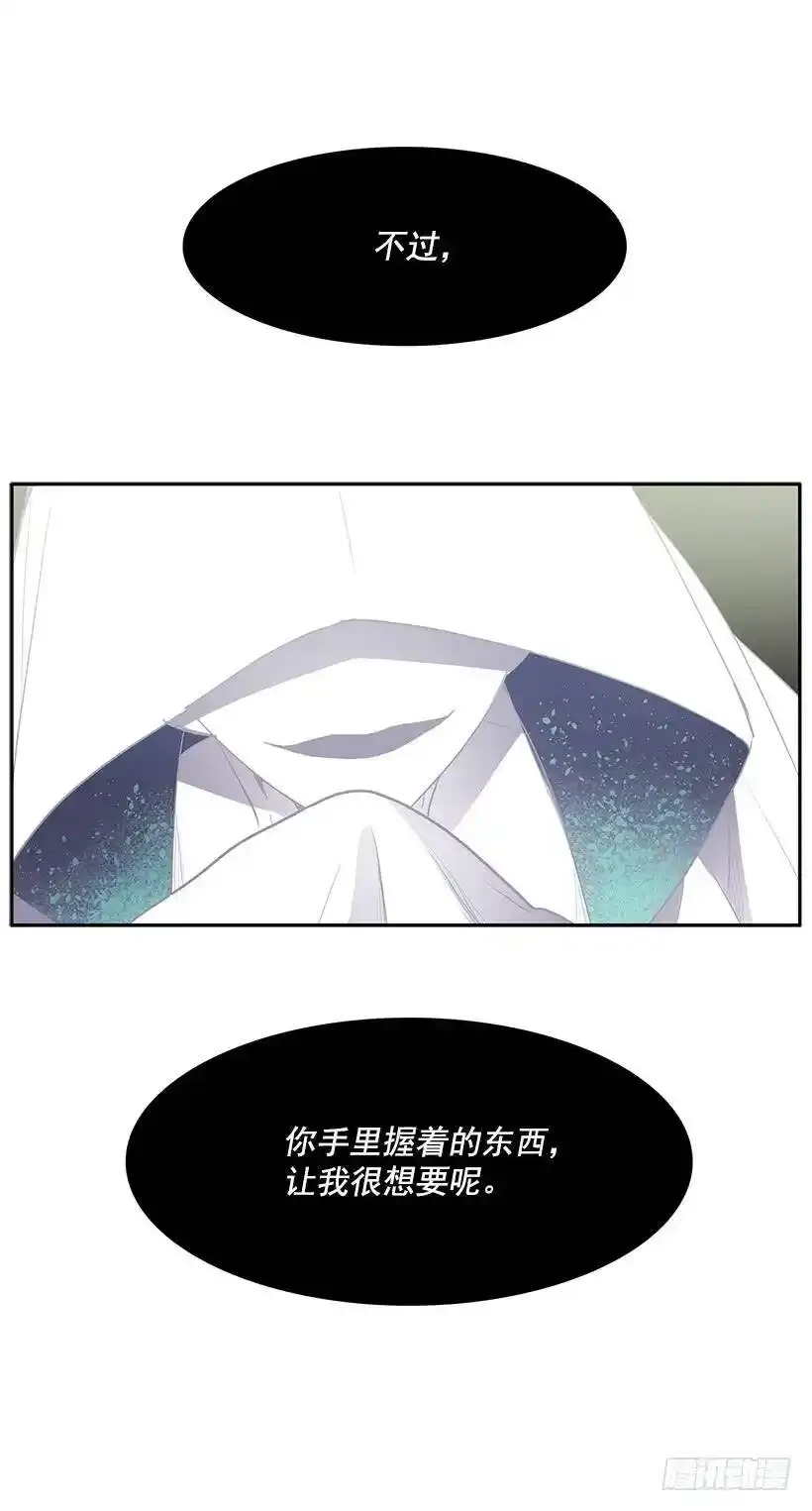 再遇白斗篷 第30页