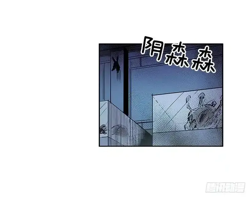 人体收藏品 第8页