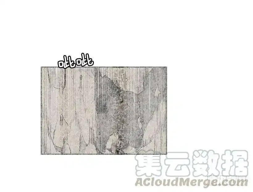 危险 第5页