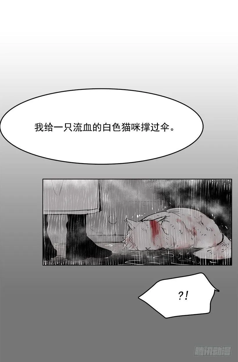 这伞我没给过人类的 第28页