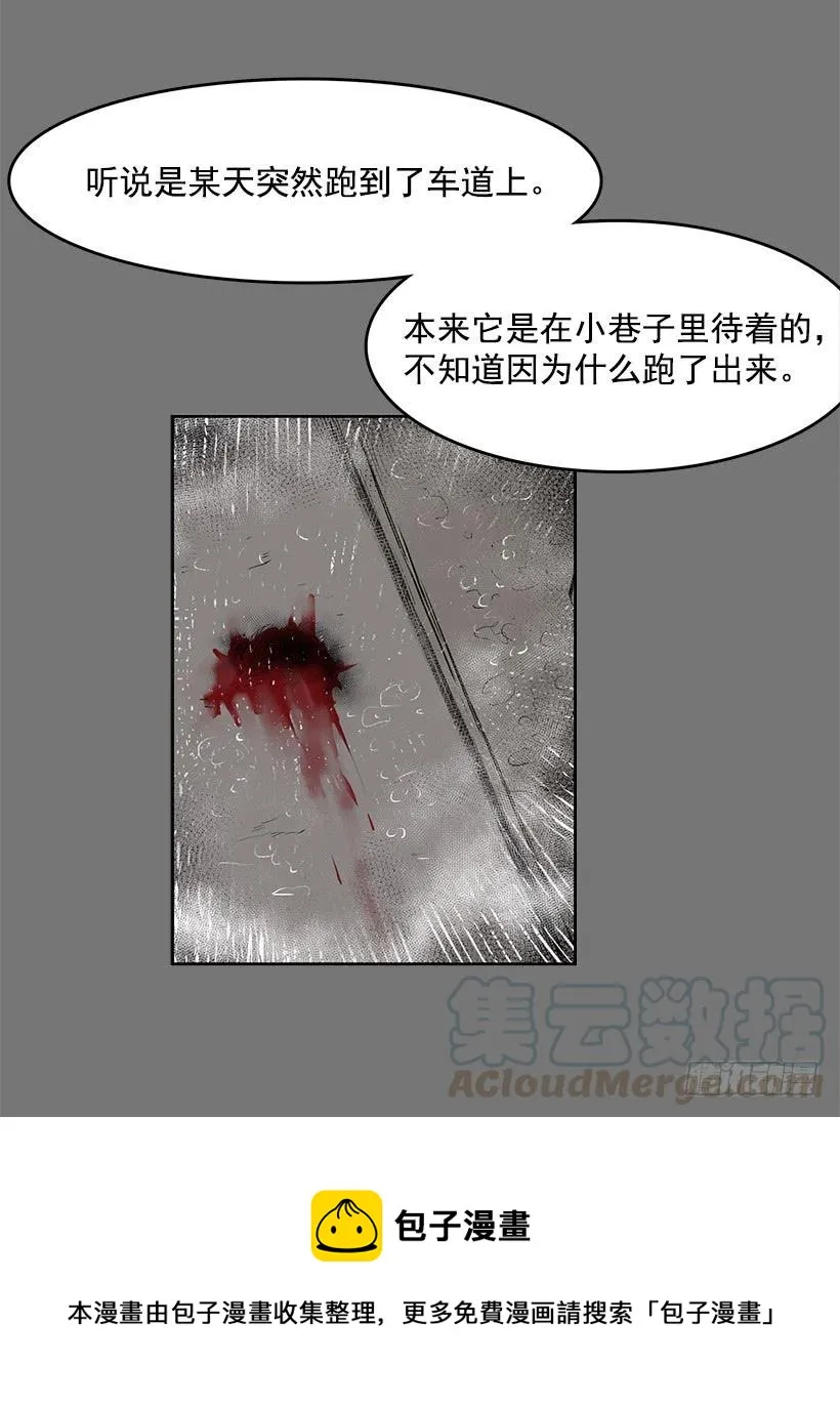 这伞我没给过人类的 第29页