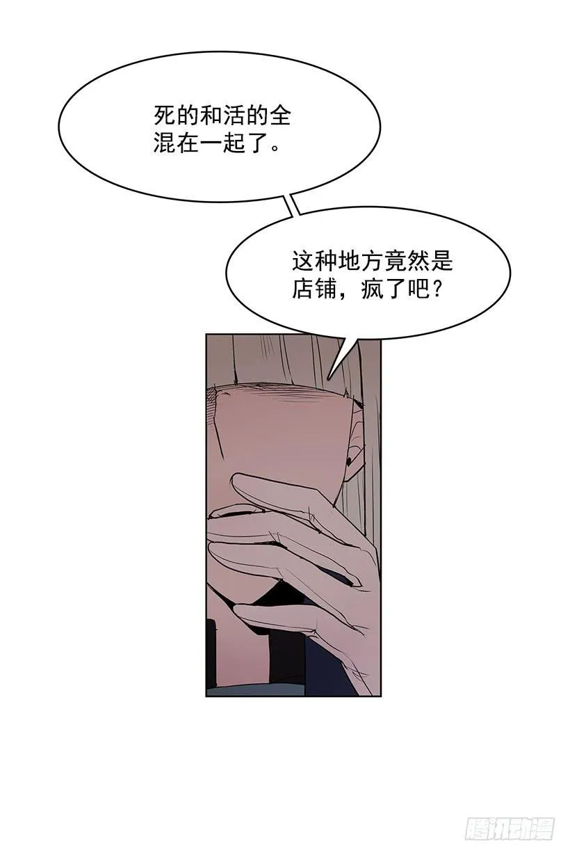 想过平凡的生活是吗 第20页