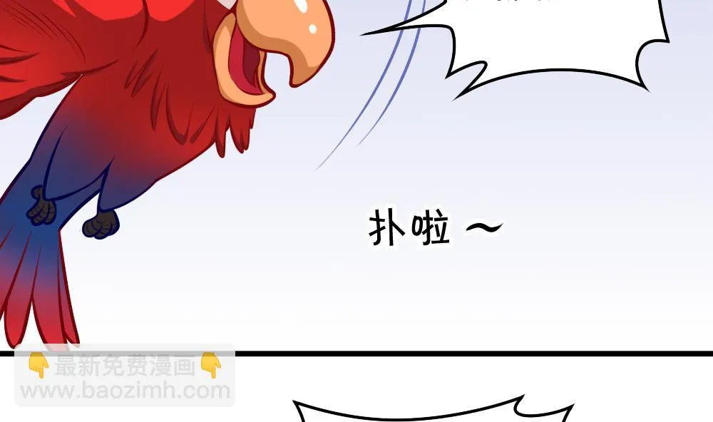 第052话 可爱的小鹦鹉 第4页