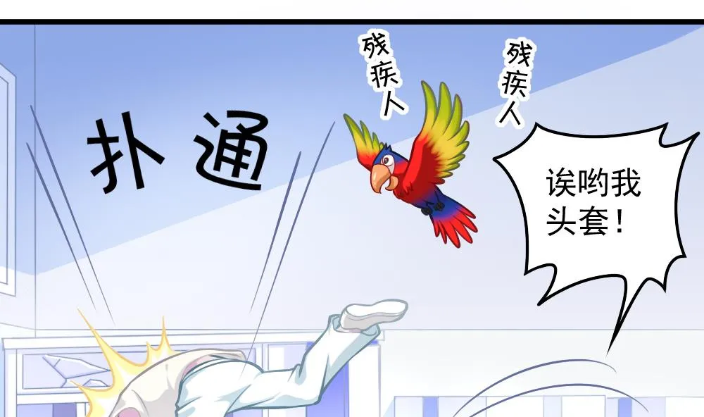 第052话 可爱的小鹦鹉 第13页