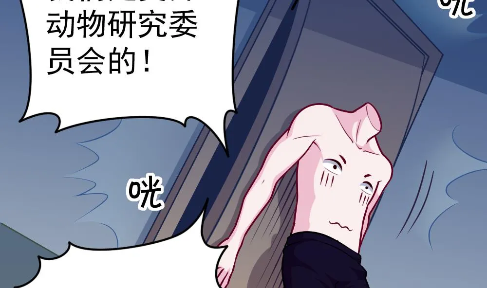 第26话 柳暗花明 第13页